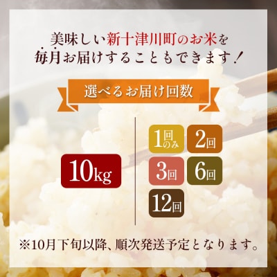 【令和8年度産】 食味ランキング「特A」ななつぼし玄米定期便 (10kg×6回)【11028】