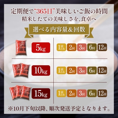 【令和8年度産】 ゆめぴりか精米定期便  (10kg×12回)【11037】
