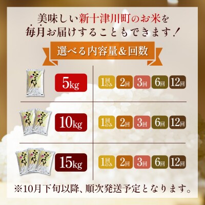 【令和8年度産】ふっくりんこ精米定期便  (5kg×6回)【11041】