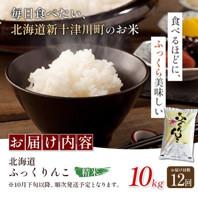 【令和8年度産】ふっくりんこ精米定期便  (10kg×12回)【11046】