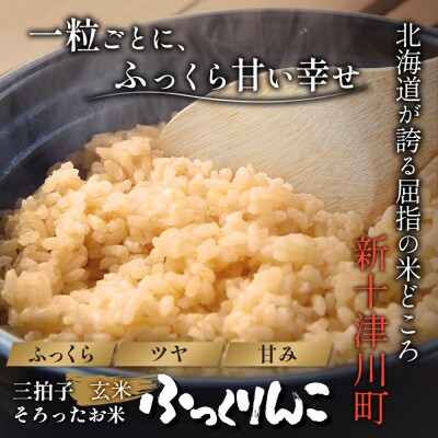 【令和8年度産】ふっくりんこ玄米定期便  (10kg×6回)【11049】