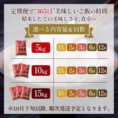 【令和8年度産】 ゆめぴりか精米定期便  (15kg×12回)【11058】