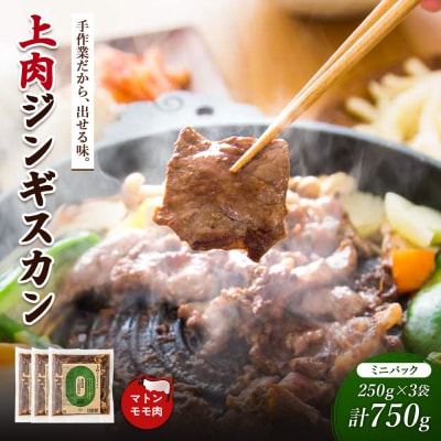 大畠精肉店の上肉じんぎすかんミニパック250g×3袋(計750g)【13022】