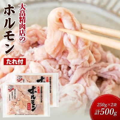 大畠精肉店のホルモン(特製タレ付き)250g×2袋(計500g)【13025】