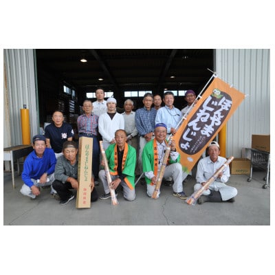 JA静岡市ほんやまじねんじょ　Mサイズ　1本