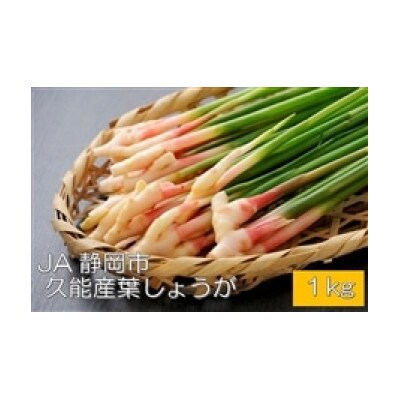 JA静岡市久能葉しょうが　1kg
