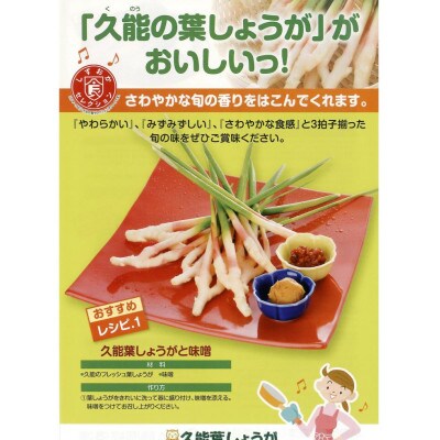 JA静岡市久能葉しょうが　1kg