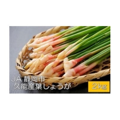 JA静岡市久能葉しょうが　2kg