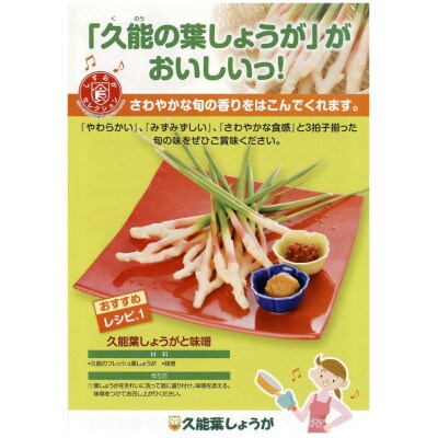 JA静岡市久能葉しょうが　2kg