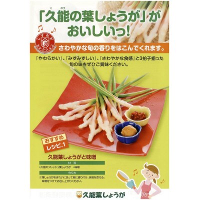 JA静岡市久能葉しょうが　4kg