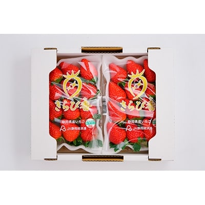 静岡市清水区産　キラッと輝くいちご『きらぴ香』　260g(8～15粒)×20パックセット