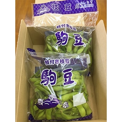 静岡市清水区産　枝豆200g　2袋セット