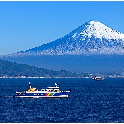 駿河湾フェリー片道乗船券(大人2名(特別室入室料・乗用車航送券付))