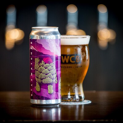 【ビール王国!静岡県静岡市】クラフトビール「Starwatcher(500mL×4本Set)」