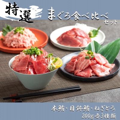 【静岡】鮪食べ比べセット200g3種:本鮪切落し200g メバチ鮪切落し200g ねぎとろ200g