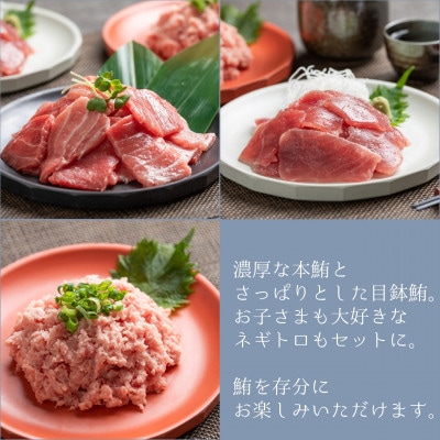 【静岡】鮪食べ比べセット200g3種:本鮪切落し200g メバチ鮪切落し200g ねぎとろ200g