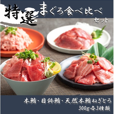 【静岡】鮪食べ比べセット300g3種:本鮪切落し300g メバチ鮪切落し300g ねぎとろ300g