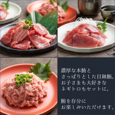 【静岡】鮪食べ比べセット300g3種:本鮪切落し300g メバチ鮪切落し300g ねぎとろ300g