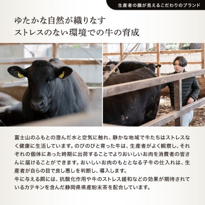 WAGYU DIAMOND FUJI ヒレ ステーキ 250g