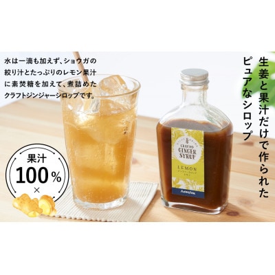 ジンジャーシロップ4種セット