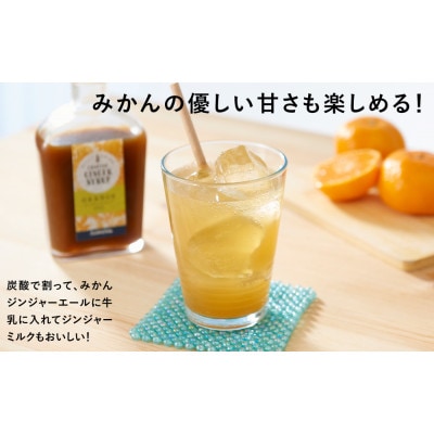 ジンジャーシロップ　みかん2本セット