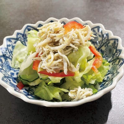 しずまえギフト静岡しらすのパスタソース(ビネガージンジャー風)100g×6パック