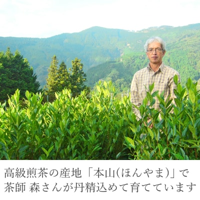 静岡　本山茶