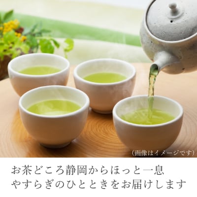 静岡　本山茶