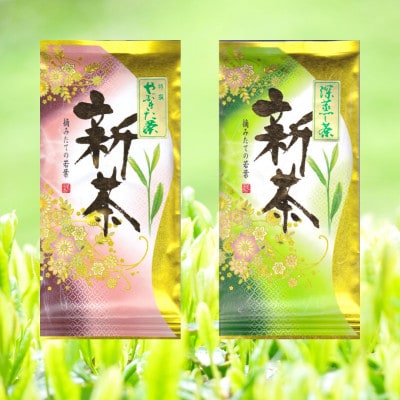 [大高茶園] 令和7年の新茶 お茶処静岡 特選やぶきた新茶と深蒸し新茶 飲み比べセット