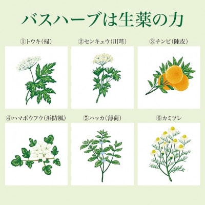 【3ヵ月毎定期便】ツムラのくすり湯 バスハーブ[650ml×3本]全2回