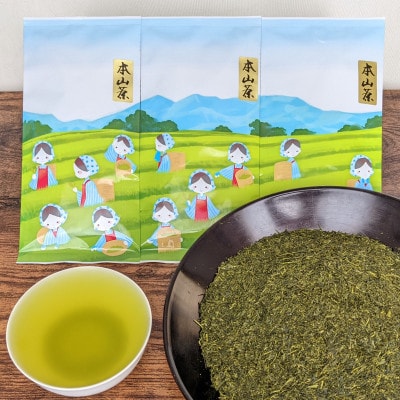 【茶娘の深むし茶】静岡市産深むし茶100g『10+1本』合計1.1kg
