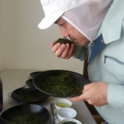 【茶娘の深むし茶】静岡市産深むし茶100g『10+1本』合計1.1kg