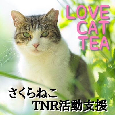 さくらねこ支援　静岡県産茶ティーバッグ【静岡茶・ほうじ茶・和紅茶・玉露・玄米茶】計54ティーバッグ