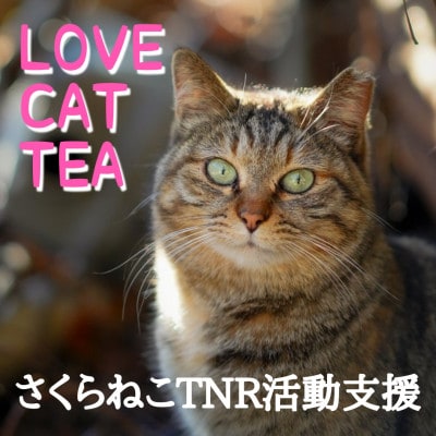 さくらねこ支援　静岡市産茶ティーバッグ3種類【静岡茶・ほうじ茶・和紅茶】各12個入計36ティーバッグ