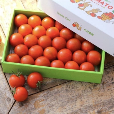 甘さと旨味があふれる!フルーティーな中玉トマト「アミノレッド」2kg