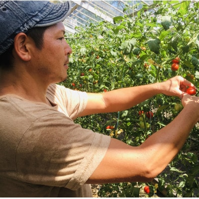 甘さと旨味があふれる!フルーティーな中玉トマト「アミノレッド」2kg