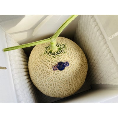 お中元や夏ギフトにおすすめ　甘さあふれる!マスクメロン　1玉(1.5kg～2kg)