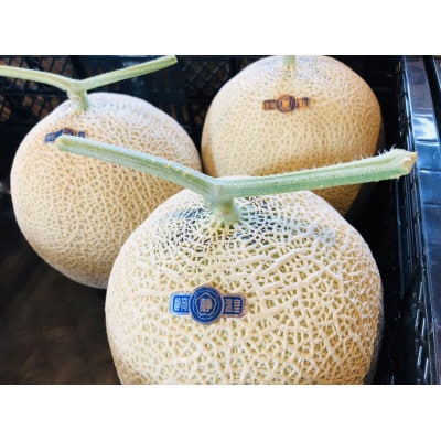 お中元や夏ギフトにおすすめ　甘さあふれる!マスクメロン　1玉(1.5kg～2kg)