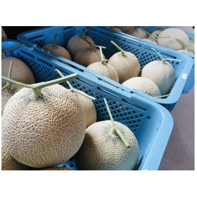 訳ありでも甘い!甘さあふれる!マスクメロン　1玉(1.5kg～2kg)