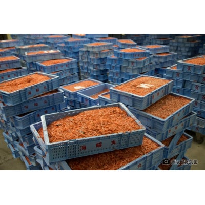 駿河湾産 釜揚げ桜えび75g×8個(合計600g)