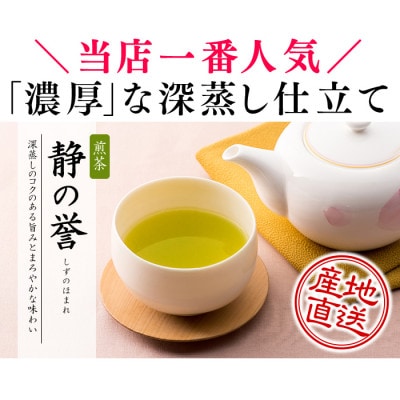 【贈答・ご家庭に】 おやいづ製茶の静岡深蒸し茶 静の誉1kg(100g×10袋)