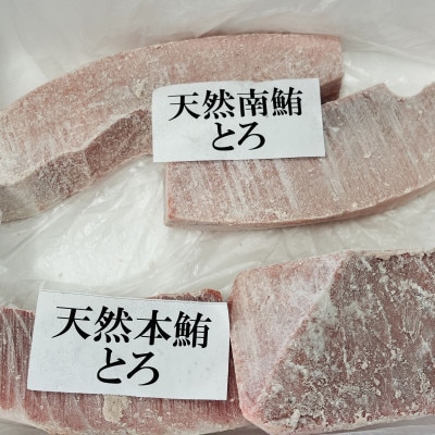 (静岡市)とろくらべ(天然本鮪・天然南鮪)1kg入り