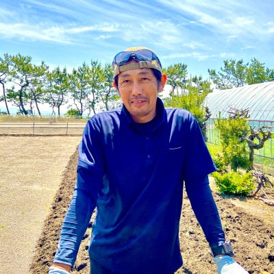 茶豆風味の枝豆【英】はなぶさ　230g×6袋入り