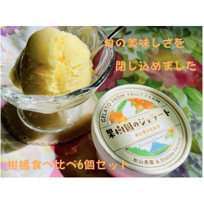 【果樹園のジェラート】柑橘食べ比べ6個セット