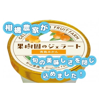【果樹園のジェラート】柑橘食べ比べ6個セット