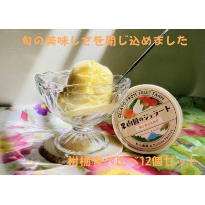 【果樹園のジェラート】柑橘食べ比べ12個セット