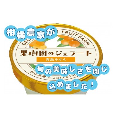 【果樹園のジェラート】柑橘食べ比べ12個セット