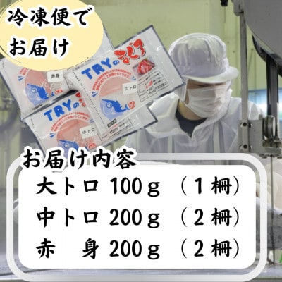 【天然】　本鮪　大トロ100g　中トロ200g　赤身200g　セット　合計500g