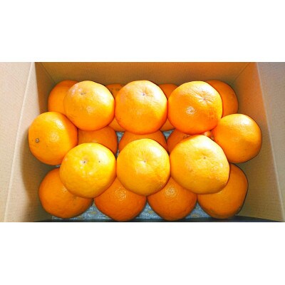 はるみ蜜柑　3kg