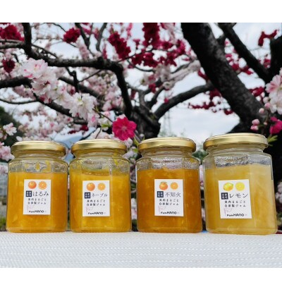 柑橘農家手作り! 無添加柑橘ジャム 4種食べ比べセット　◇果肉丸ごとたっぷり使用◇